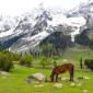 Breathtaking Beauty of Kashmir 85x85