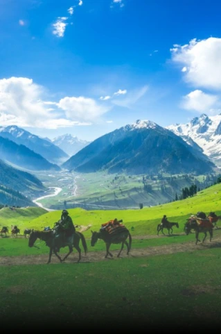 srinagar 2